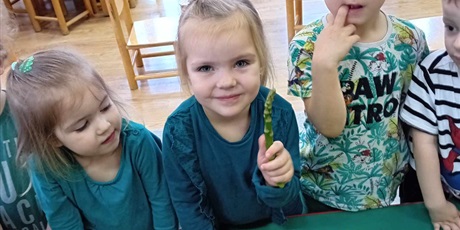 Powiększ grafikę: Krasnoludki jedzą zielone warzywa: m.in. sałatę, ogórki, zieloną paprykę.