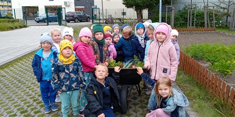 Powiększ grafikę: Dzieci z grupy III podczas zbierania plonów z naszego warzywniaka