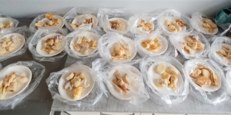 Powiększ grafikę: Wypieki Ekoludków