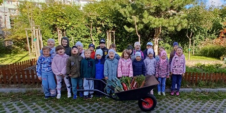 Powiększ grafikę: Ekoludki zebrały plony z naszego ogródka.