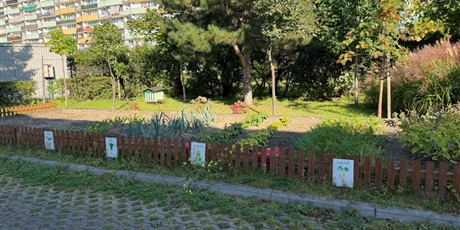 Powiększ grafikę: Ekoludki zebrały warzywka w ogródku przedszkolnym, które posiały i posadziły wiosną