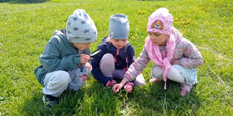 Powiększ grafikę: Kosmoludki na łące obserwują przyrodę