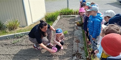 Powiększ grafikę: Krasnoludki pod opieką pani Magdy zasiały w naszym ogródku marchewkę