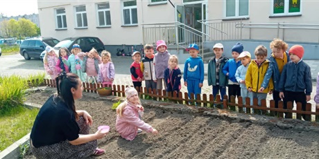 Powiększ grafikę: Kosmoludki sieją marchewkę