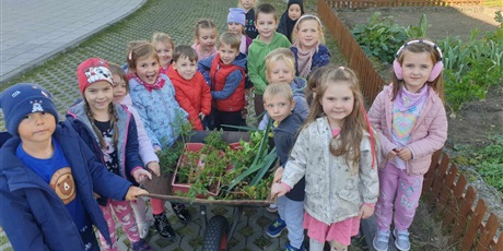 Plony z naszego ogródka 🥕🥕🥕 - KOSMOLUDKI