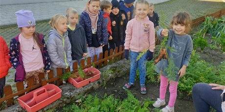 Powiększ grafikę: Kosmoludki zebrały warzywa z naszego ogródka. Na zdjęciu dzieci z grupy III, jedna dziewczynka trzyma w rączce marchewkę