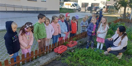 Powiększ grafikę: Kosmoludki zebrały warzywa z naszego ogródka. Na zdjęciu pani Madzia opowiada dzieciom o warzywach, które same wyhodowały i pomaga im zebrać plony