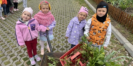 Powiększ grafikę: Bajkoludki zebrały warzywa z naszego ogródka