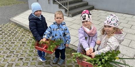 Powiększ grafikę: Bajkoludki zebrały warzywa z naszego ogródka