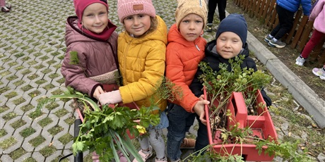 Powiększ grafikę: Bajkoludki zebrały warzywa z naszego ogródka