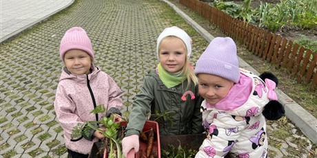 Powiększ grafikę: Bajkoludki zebrały warzywa z naszego ogródka