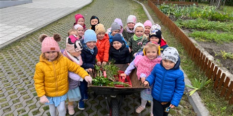 Plony z naszego ogródka 🥕🥕🥕 - BAJKOLUDKI