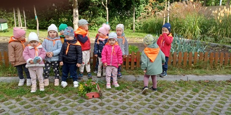 Powiększ grafikę: przedszkolaki-zebraly-plony-z-naszego-ogrodka-643008.jpg