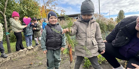 Powiększ grafikę: Bajkoludki zebrały plony z naszego ogródka.