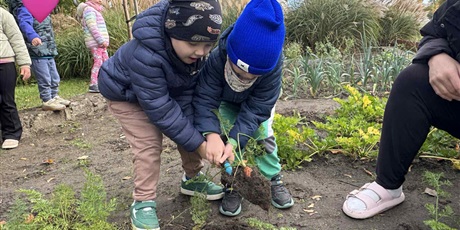 Powiększ grafikę: Bajkoludki zebrały plony z naszego ogródka.