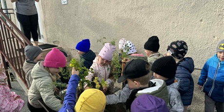 Powiększ grafikę: Bajkoludki zebrały plony z naszego ogródka.