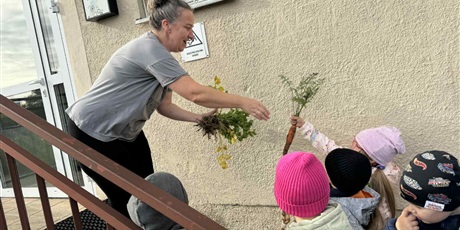 Powiększ grafikę: Pani Justynka odbiera od Bajkoludków warzywa z naszego ogródka