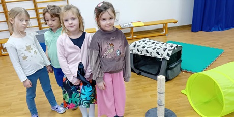 Powiększ grafikę: Dzieci wzięły udział w zajęciach z kotkiem Iwo, które poprowadził pan Kuba