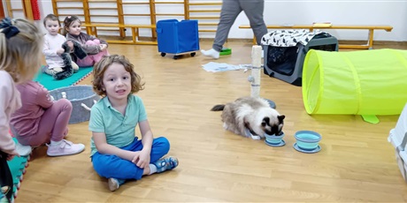 Powiększ grafikę: Dzieci wzięły udział w zajęciach z kotkiem Iwo, które poprowadził pan Kuba