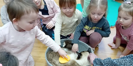 Powiększ grafikę: Dzieci wzięły udział w zajęciach z kotkiem Iwo, które poprowadził pan Kuba