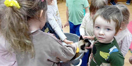 Powiększ grafikę: Dzieci wzięły udział w zajęciach z kotkiem Iwo, które poprowadził pan Kuba