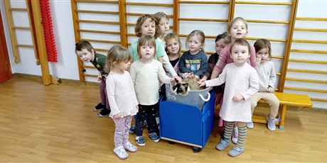Powiększ grafikę: Dzieci wzięły udział w zajęciach z kotkiem Iwo, które poprowadził pan Kuba