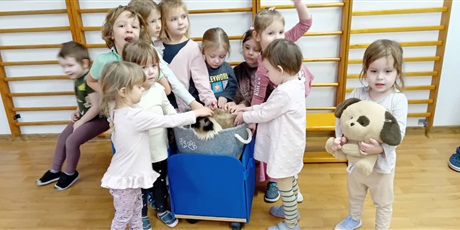 Powiększ grafikę: Dzieci wzięły udział w zajęciach z kotkiem Iwo, które poprowadził pan Kuba