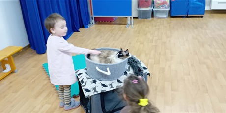 Powiększ grafikę: Dzieci wzięły udział w zajęciach z kotkiem Iwo, które poprowadził pan Kuba