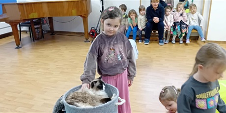Powiększ grafikę: Dzieci wzięły udział w zajęciach z kotkiem Iwo, które poprowadził pan Kuba