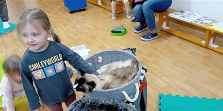 Powiększ grafikę: Dzieci wzięły udział w zajęciach z kotkiem Iwo, które poprowadził pan Kuba