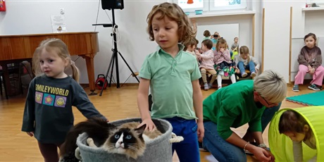 Powiększ grafikę: Dzieci wzięły udział w zajęciach z kotkiem Iwo, które poprowadził pan Kuba