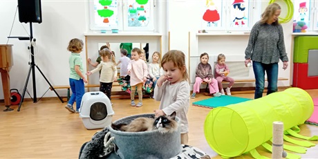 Powiększ grafikę: Dzieci wzięły udział w zajęciach z kotkiem Iwo, które poprowadził pan Kuba