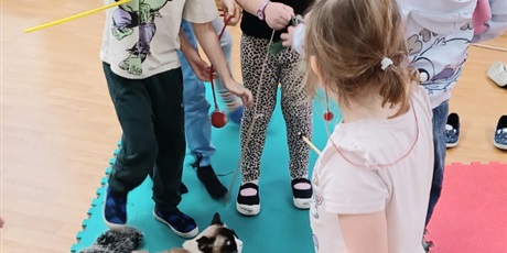 Powiększ grafikę: Dzieci wzięły udział w zajęciach z kotkiem Iwo, które poprowadził pan Kuba