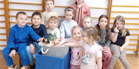 Powiększ grafikę: Dzieci wzięły udział w zajęciach z kotkiem Iwo, które poprowadził pan Kuba