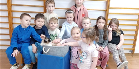 Powiększ grafikę: Dzieci wzięły udział w zajęciach z kotkiem Iwo, które poprowadził pan Kuba