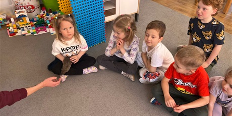 Powiększ grafikę: Na zdjęciu Kosmoludki i szczurki Marysi