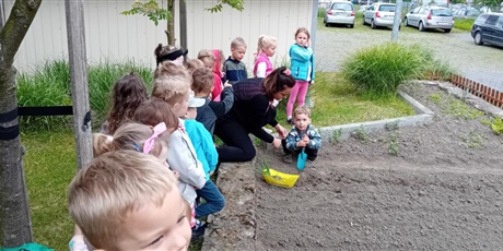 Powiększ grafikę: Bajkoludki podczas pracy w ogródku warzywnym.