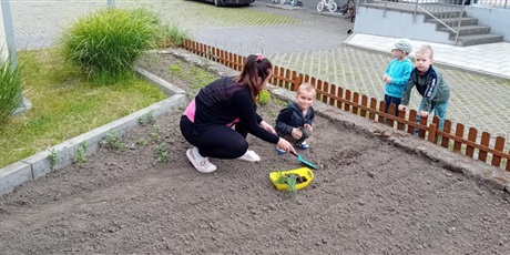 Powiększ grafikę: Bajkoludki podczas pracy w ogródku warzywnym.