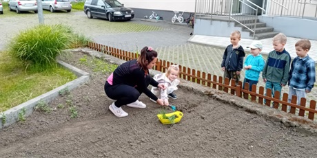 Powiększ grafikę: Bajkoludki podczas pracy w ogródku warzywnym.