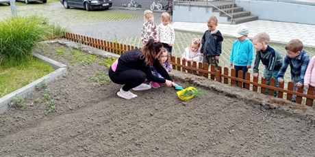 Powiększ grafikę: Bajkoludki podczas pracy w ogródku warzywnym.