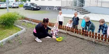 Powiększ grafikę: Bajkoludki podczas pracy w ogródku warzywnym.