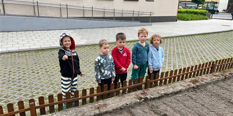 Powiększ grafikę: Bajkoludki podczas pracy w ogródku warzywnym.