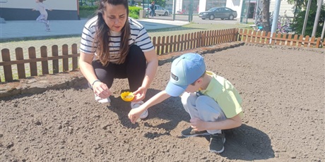 Powiększ grafikę: Kosmoludki podczas pracy w ogródku warzywnym pod czujnym okiem pani Magdy.