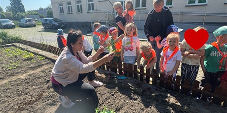 Powiększ grafikę: Krasnoludki - prace w ogródku przedszkolnym pod czujnym okiem pani Madzi