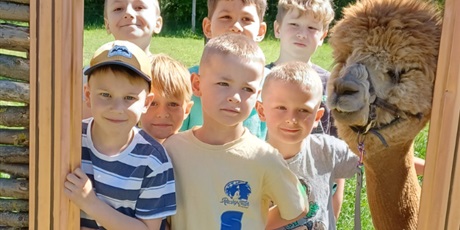 Powiększ grafikę: Wycieczka do gospodarstwa "Alpaka-Team" - na zdjęciu dzieci z alpaką