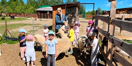 Powiększ grafikę: Na zdjęciu zwierzęta, dzieci i Pani z "Alpaka-Team"