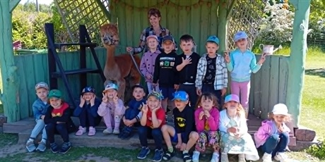 Powiększ grafikę: wycieczka-do-gospodarstwa-alpaka-team-695684.jpg