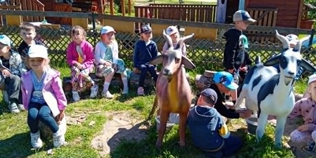 Powiększ grafikę: wycieczka-do-gospodarstwa-alpaka-team-695685.jpg