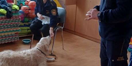 Powiększ grafikę: Zajęcia edukacyjne ze Strażą Miejską - na zdjęciu pies z pracownikami Straży Miejskiej