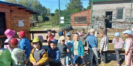 Powiększ grafikę: Wycieczka do gospodarstwa "Alpaka-Team" 